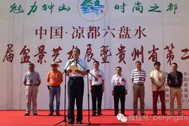 贵州省第二届盆景展开幕盛况图片