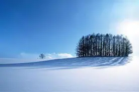 8月的日本带上小孩这样玩~图片