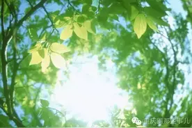 来自光与影的夏日狂想曲图片