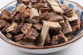 榆白皮泡水喝的功效图片