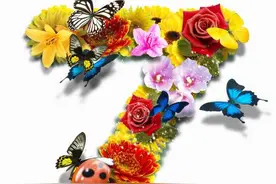 茶油的7个妙用，您绝对用的到！图片