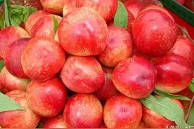 吃桃，你是吃软还是吃硬？图片