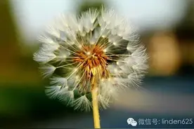 释梦19：梦到厕所？原来真有可能与肮脏有关。图片