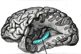 你为何能感知时间？图片