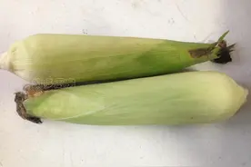 玉米皮你可别扔了，这东西有大用处，蒸面食的人最爱它了！特别好图片