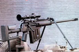 “百步穿杨”利器，盘点我国十大国产狙击步枪图片