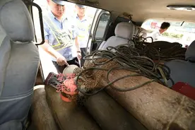 商务车装了一车氧气罐   或面临万元罚款图片