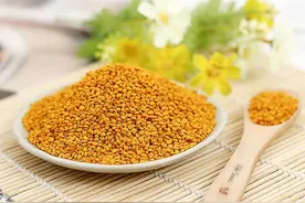 蜂花粉---浓缩的天然药库，人类天然食品中的瑰宝图片