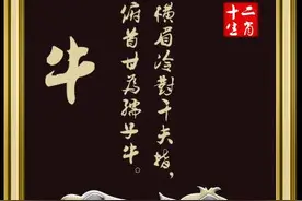 颜值天注定的生肖，看看他们你就知道了！图片
