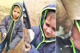 小男孩與失散狗狗團聚 這樣的崩潰反應讓網友都哭了！图片