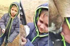 小男孩與失散狗狗團聚 這樣的崩潰反應讓網友都哭了！图片