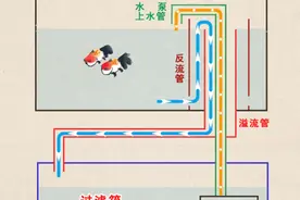 初入锦鲤门丨送你干货，收好不谢！图片