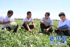 王飞：鄯善县邮储银行“义务代言人”图片