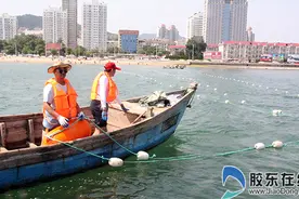 第一海水浴场布设防鲨网 打造12万平米安全泳区图片
