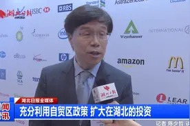 充分利用自贸区政策 扩大在湖北的投资视频封面