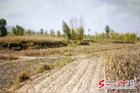 代县古遗址--东章遗址图片