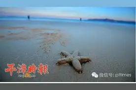 盘点丨细数平潭2015年都发生了什么大事图片