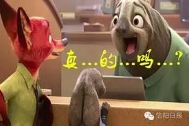 这是一道送分题猜猜哪个大明星7月来信阳？588元门票白送你！图片