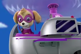 汪汪队：机器狗终于停了下来灰灰还找到了电线让莱德帮机器狗修好视频封面