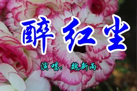 魏新雨一首经典情歌《醉红尘》好听极了