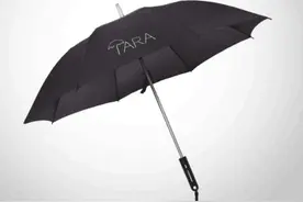 美企业推出智能雨伞——能预测晴雨还可照明图片