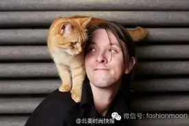 LOL才华洋溢的小猫咪Bob，它不单单是一直喵！图片