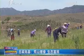 吕梁岚县：荒山增绿 生态富民视频封面