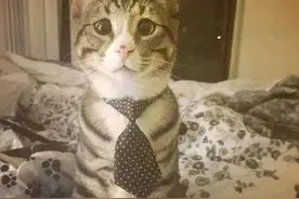 爆笑旅游中的囧事~你参与了几件图片