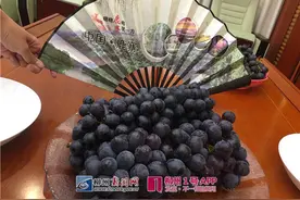 吃葡萄不吐皮？这个品种连籽都不用吐！图片