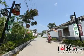 馆陶县“黄瓜小镇”翟庄：特色小镇美如画图片