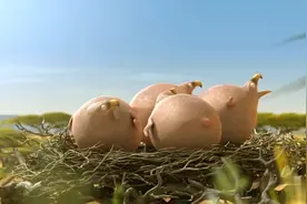 胖到底是不是遗传？等鹰妈妈飞过来的时候，就真相大白了