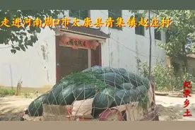 来看看周口市太康县清集镇赵庄村，村里楼房比城里？视频封面
