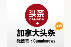 露营者亲述野外惊险遭遇（一）：被黑熊袭击追逐跳进湖水逃命 宠物狗舍命救主人图片