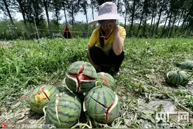 北京大兴房山遭遇冰雹灾害图片