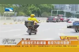 无故遭殃！女子绿灯走斑马线被撞飞，肇事者为外卖员视频封面