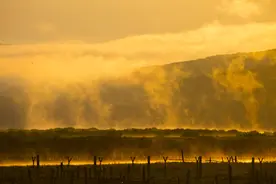蒙古族的发祥地室韦的梦幻晨曦图片