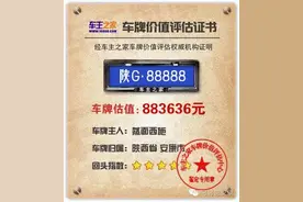 安康最吉祥的车牌号值多少钱？反正我买不起！图片
