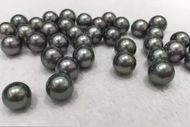 细谈黑珍珠(二)图片