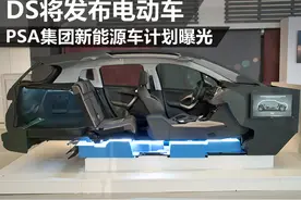 DS发布电动车 PSA集团新能源车计划曝光图片