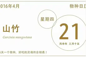 你吃过的山竹，都是母的图片