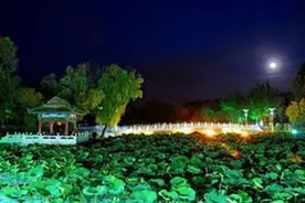 走进清华大学，欣赏荷塘月色图片