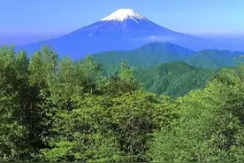 天堂还是地狱？恐怖日本自杀森林揭秘图片