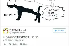 难道黑白猫都是“上黑下白”？给你理论上的支持！图片