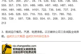 出行消息:武汉市公交在线2260台，停运230条，绕行59条图片