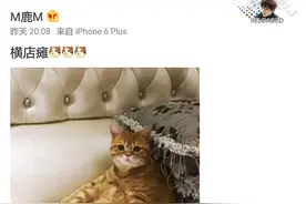 鹿晗易烊千玺大张伟张一山的北京瘫后鹿晗的猫的横店瘫横空出世图片