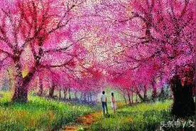 盛夏光年，遇见你花光了我一生所有的运气！图片