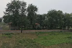 郑州：谁拍了郑纺机的地王都无所谓，关键是“小洋楼”不能拆！图片
