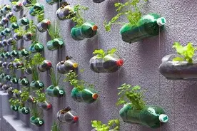 废弃塑料瓶DIY后华丽变身艺术品图片