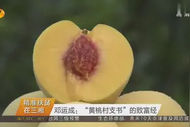 株洲炎陵 邓运成：“黄桃村支书”的致富经视频封面