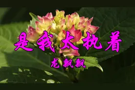 龙飘飘一首怀旧老歌《是我太执着》好听极了